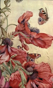 Amapolas-News of spring and other nature studies 1917